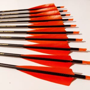 Pfeile CARBON LINE komplett