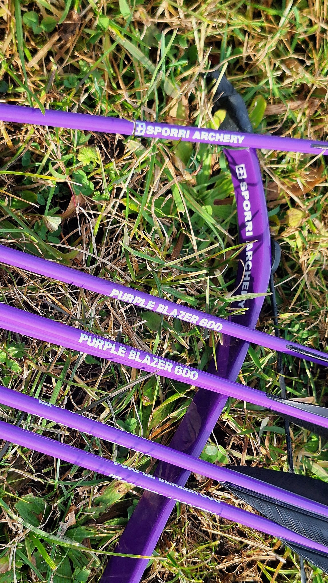 Pfeile (Rohschäfte) PURPLE BLAZER – Bild 6