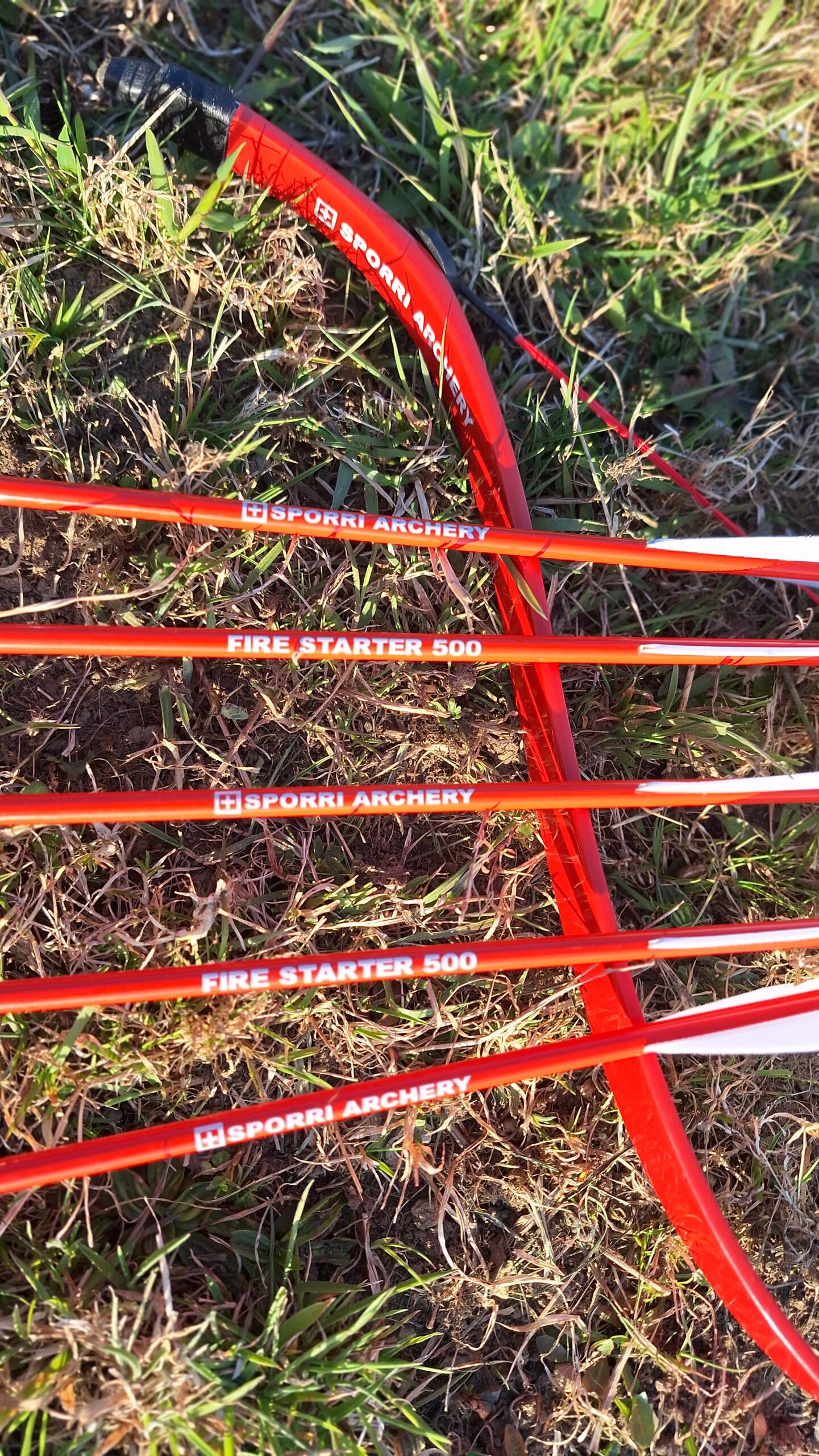 Pfeile (Rohschäfte) FIRE STARTER – Bild 4